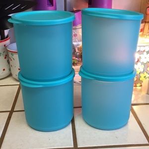 Set of 4 containers
